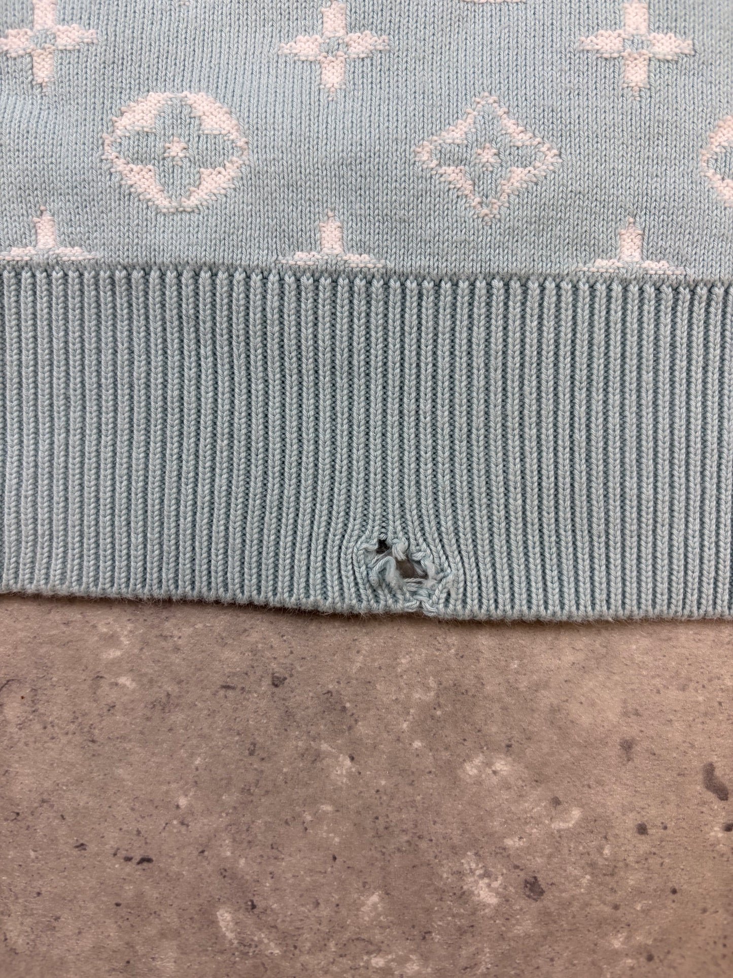 Baby Blue LV Monogram Hoodie (Preowned)